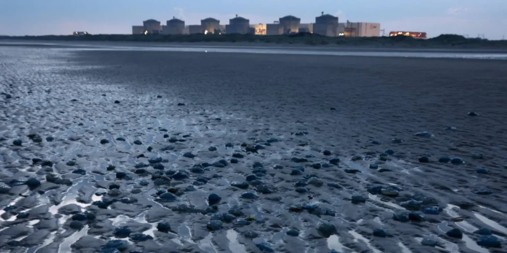 jellyfish nuclear plant